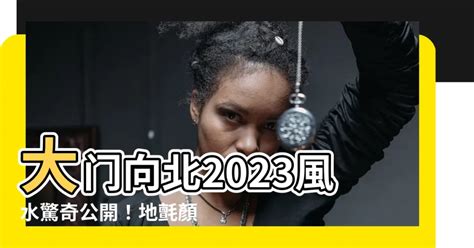 2023年門口地氈顏色